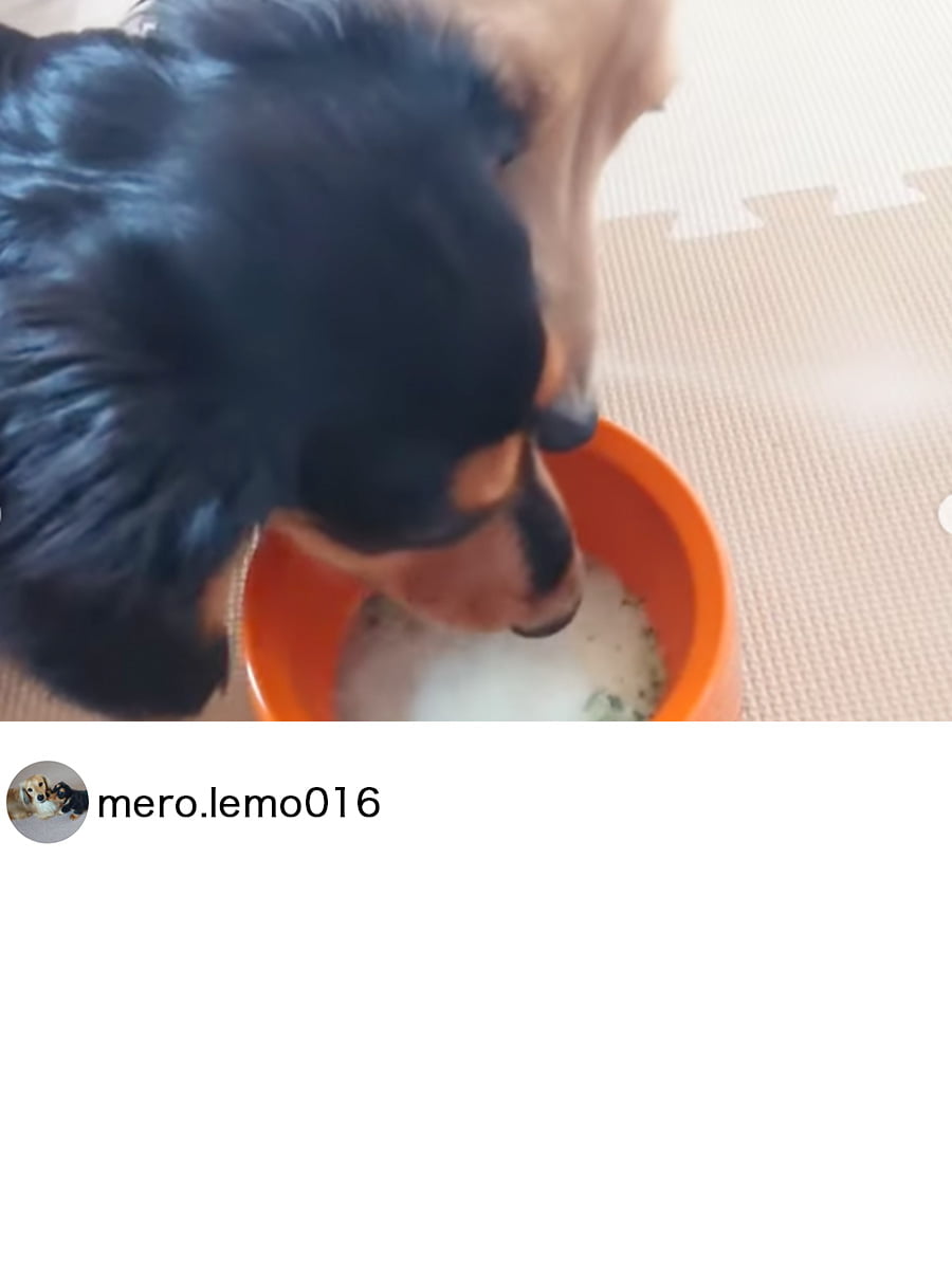 merolemo.jpg