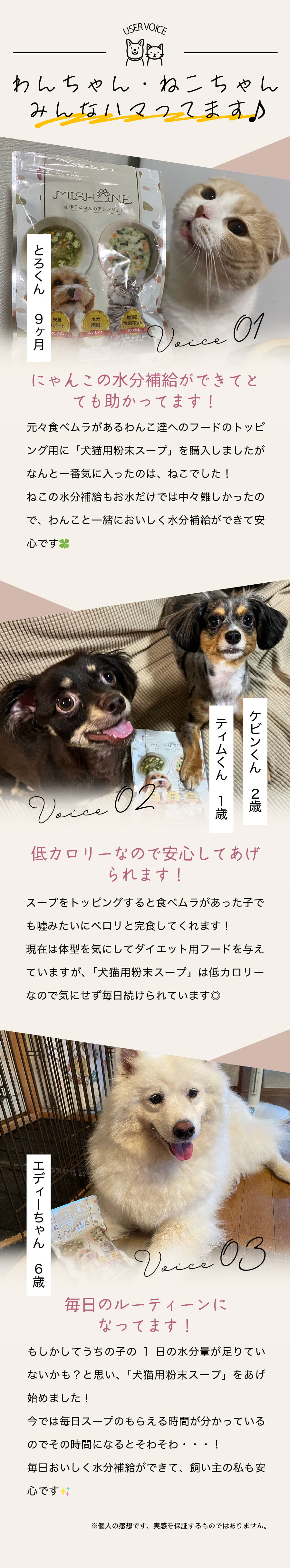 uservoice0807.jpg